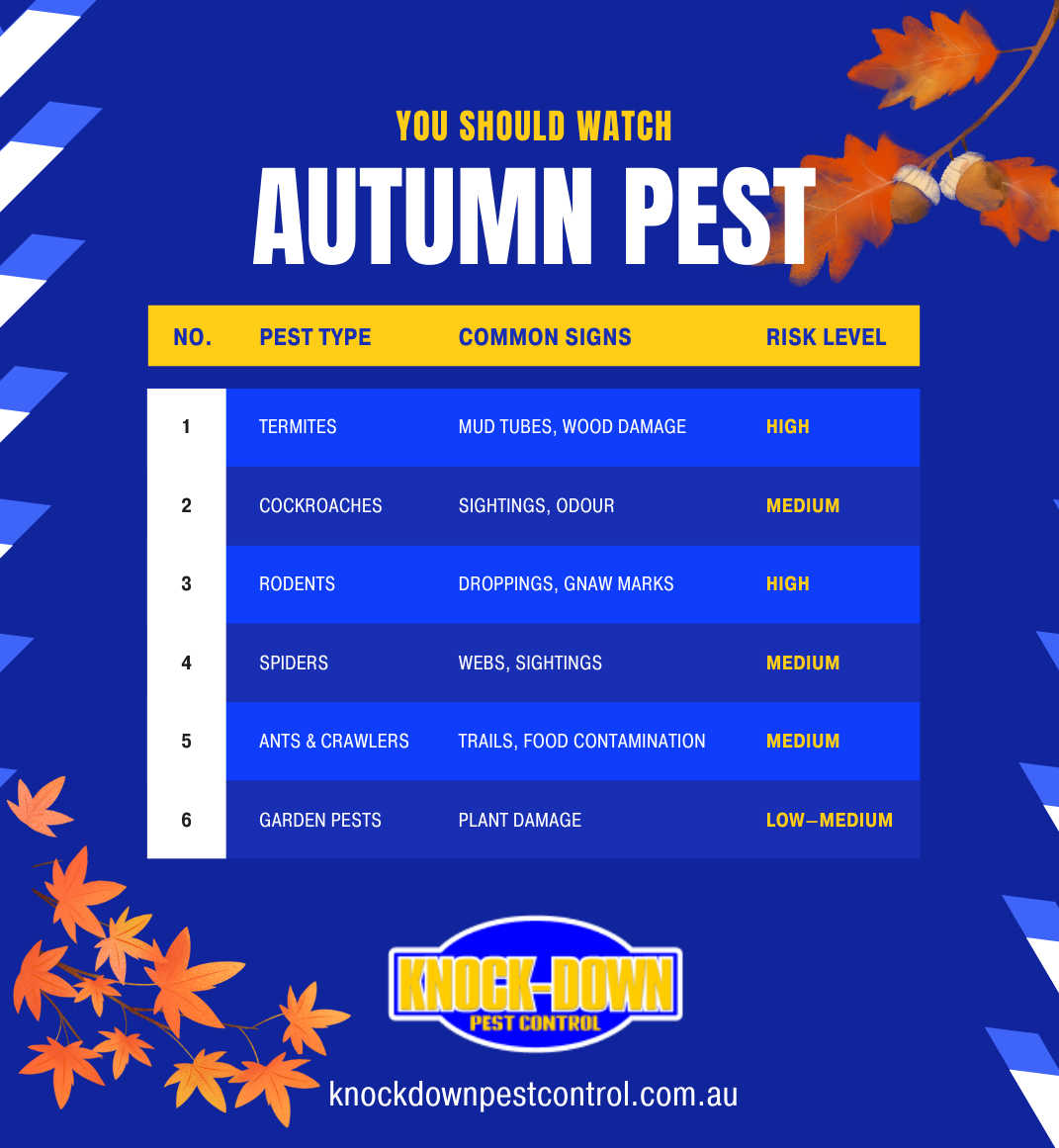 Knockdown Pest Control Sydney