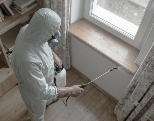 importance of pest control