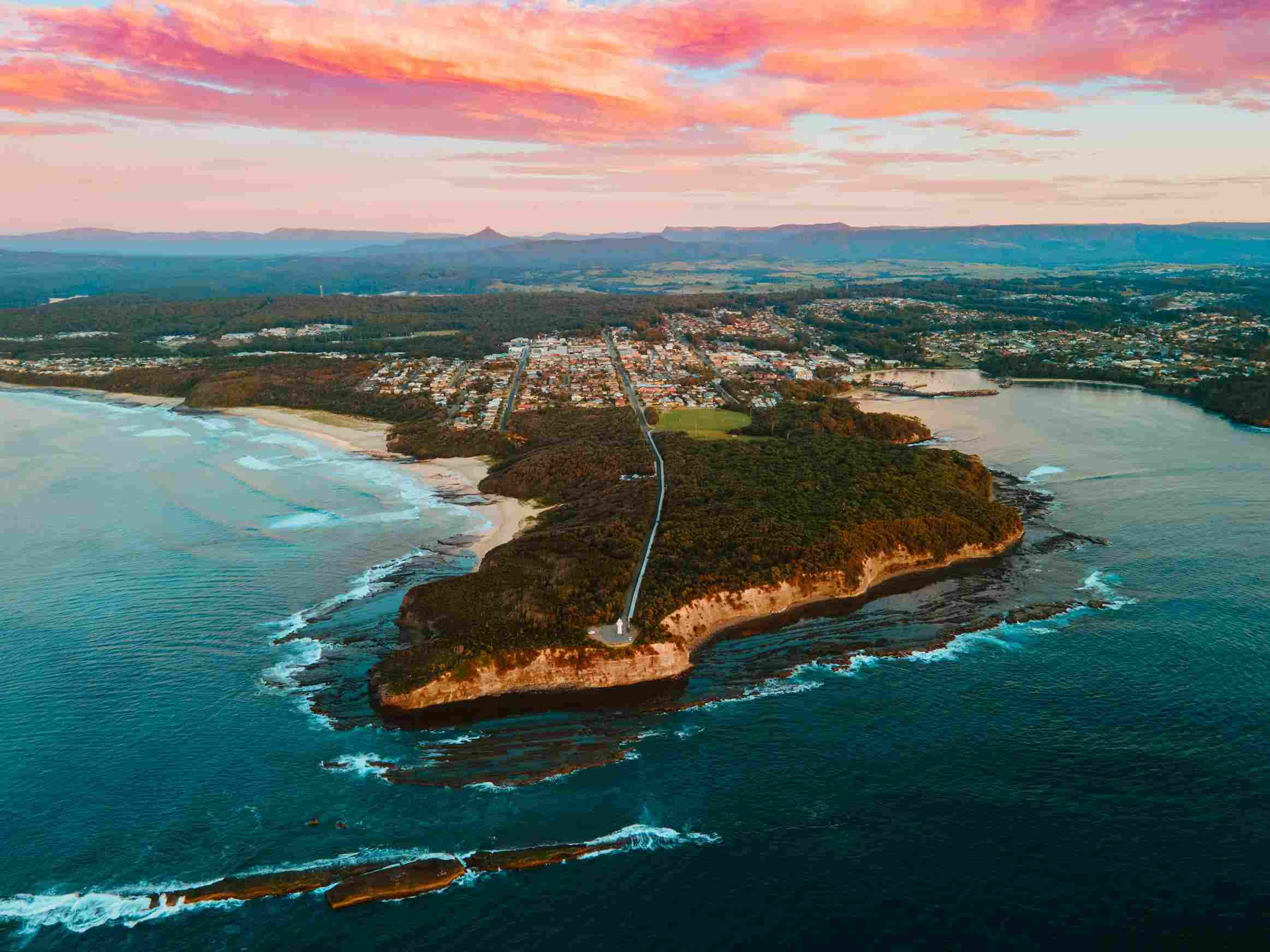 Knockdown Pest Control Sydney