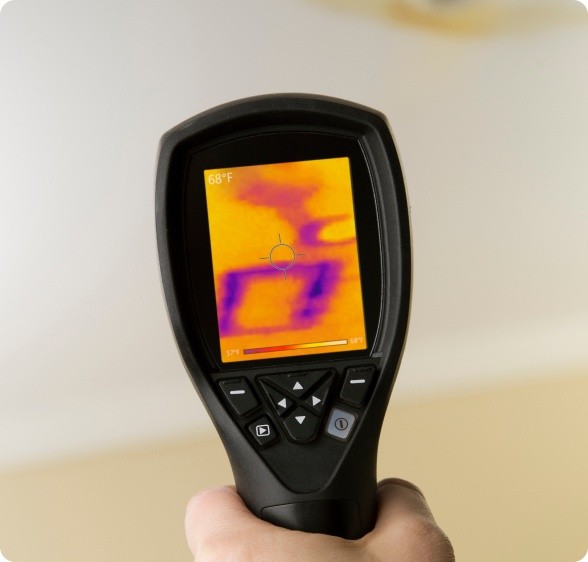 Knockdown Pest Control Sydney