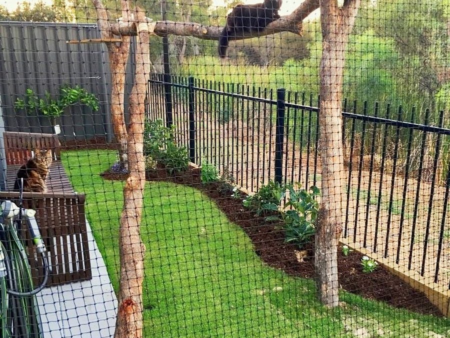 Knockdown Pest Control Sydney