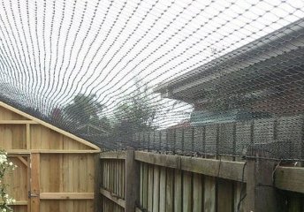 Knockdown Pest Control Sydney