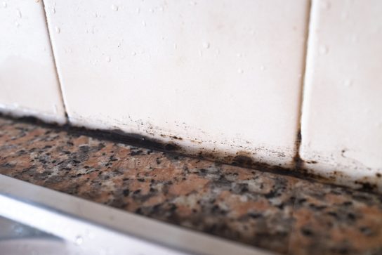 Knockdown Pest Control Sydney