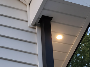 Preventative Bat Proofing Preventative Bat Proofing