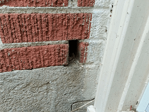 Weep Hole & Vent Protection