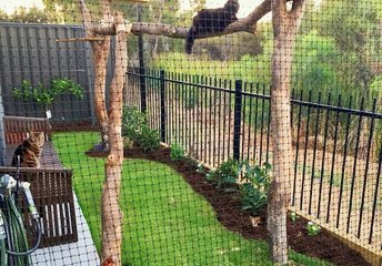 Backyard Cat Enclosures Backyard cat enclosure netting Sydney