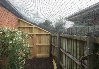 Courtyard & Patio Netting Courtyard and patio pet netting