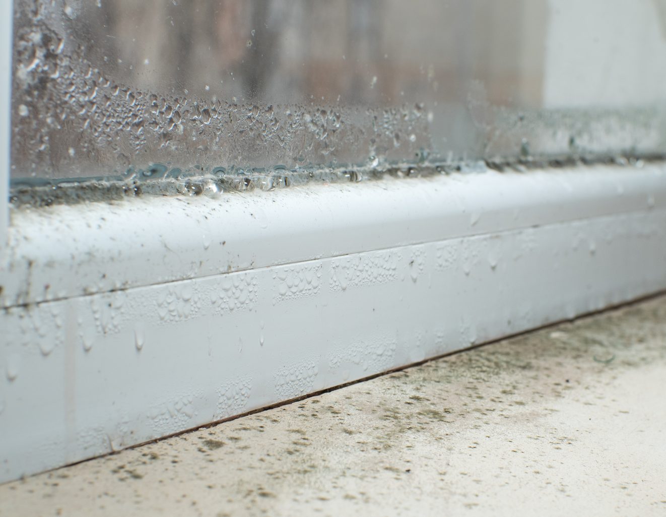Mould Cleaning Sydney Black mould on a window sill caused by condensation