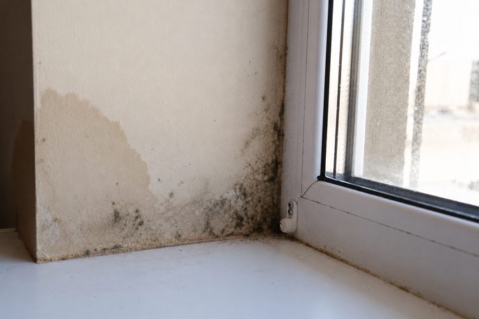Condensation Mould caused by condensation