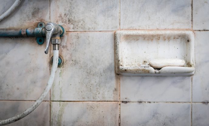 Damp bathrooms and laundries Mould in a damp bathroom