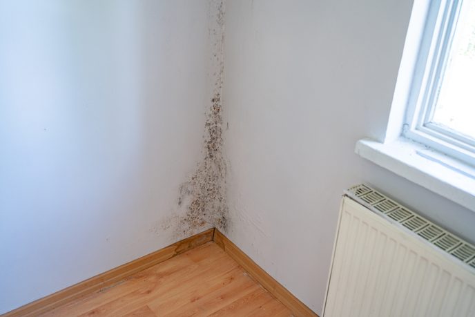 High indoor humidity Mould caused by high indoor humidity