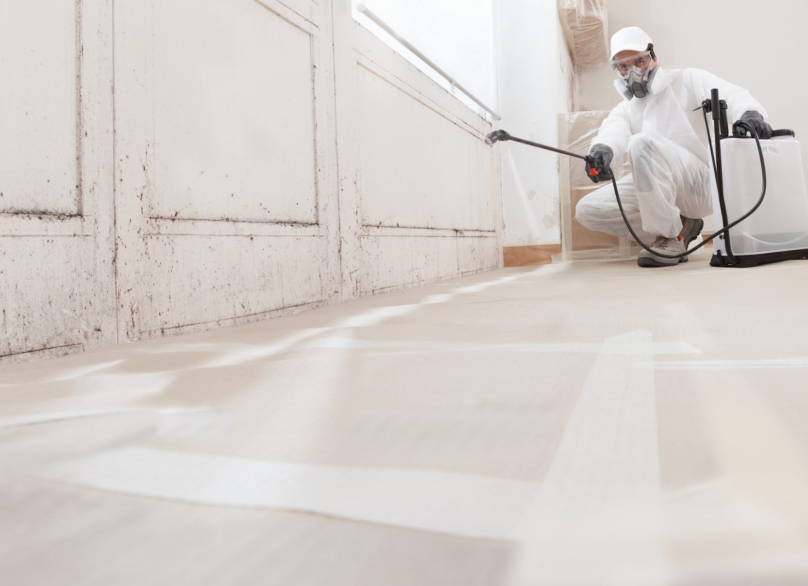 Recurring mould treatment Technician spraying mould treatment along a wall