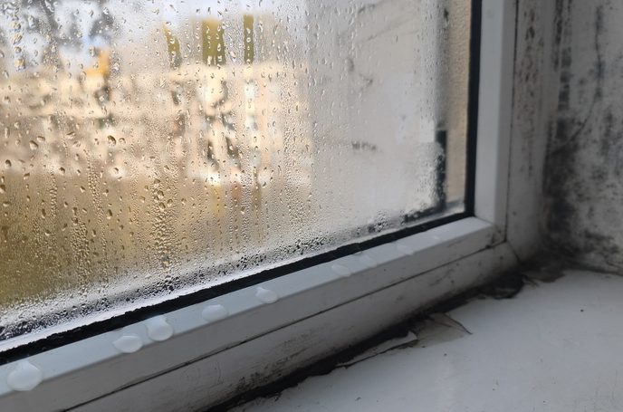 Moisture entering through external areas Mould from moisture entering through external areas