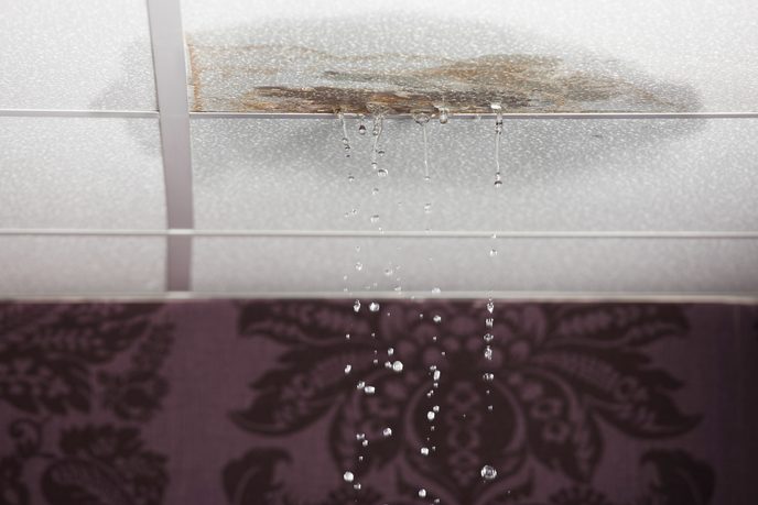 Roof or ceiling leaks Mould caused by roof or ceiling leaks