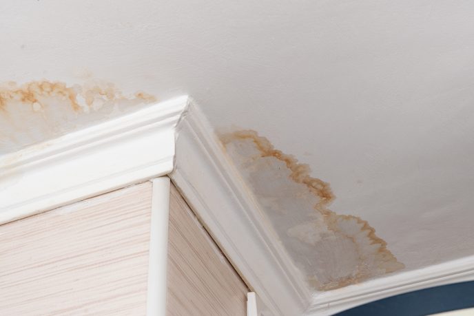 Water damage Mould caused by water damage