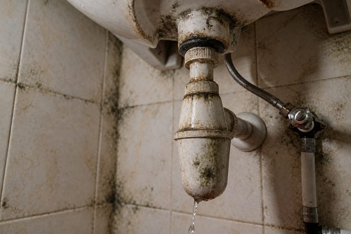 Water leaks and plumbing issues Mould caused by water leaks and plumbing issues